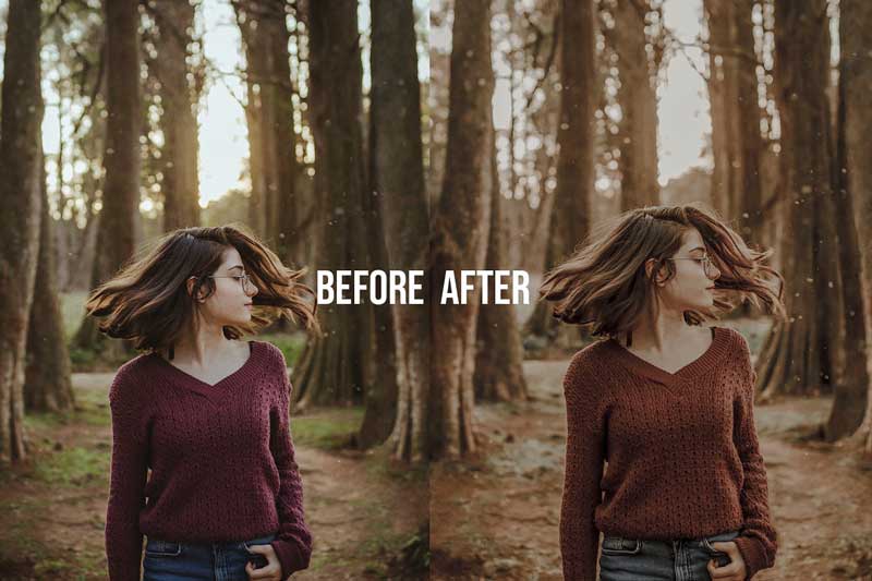 FALL Autumn Collection LR Presets 4628493 4 FALL Autumn Collection LR Presets 4628493 Download Free