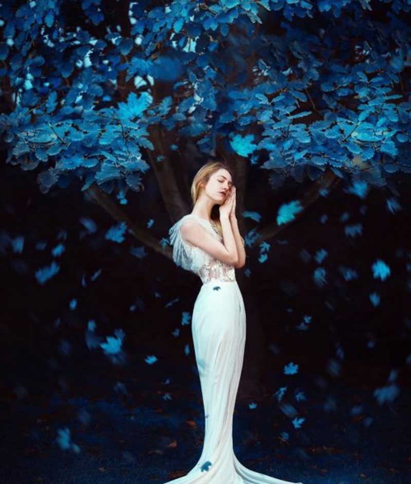 FINE ART: Introduction to Artistic Photography by Ronny Garcia 2 FINE ART Introduction to Artistic Photography by Ronny Garcia Psdly