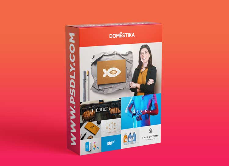 Domestika - Creation of an Original Logo from Scratch 1 Domestika - Creation of an Original Logo from Scratch