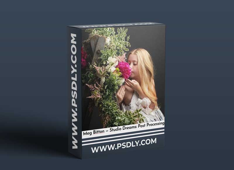 Meg Bitton — Studio Dreams: Post Processing 1 Meg Bitton — Studio Dreams: Post Processing