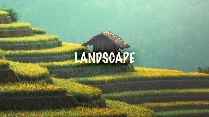 Psdbox – Landscape Creative LUT Presets 1 Psdbox – Landscape Creative LUT Presets