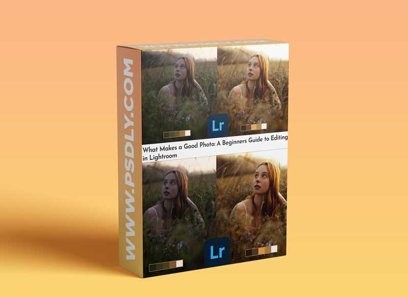 What Makes a Good Photo: A Beginners Guide to Editing in Lightroom 1 What Makes a Good Photo: A Beginners Guide to Editing in Lightroom