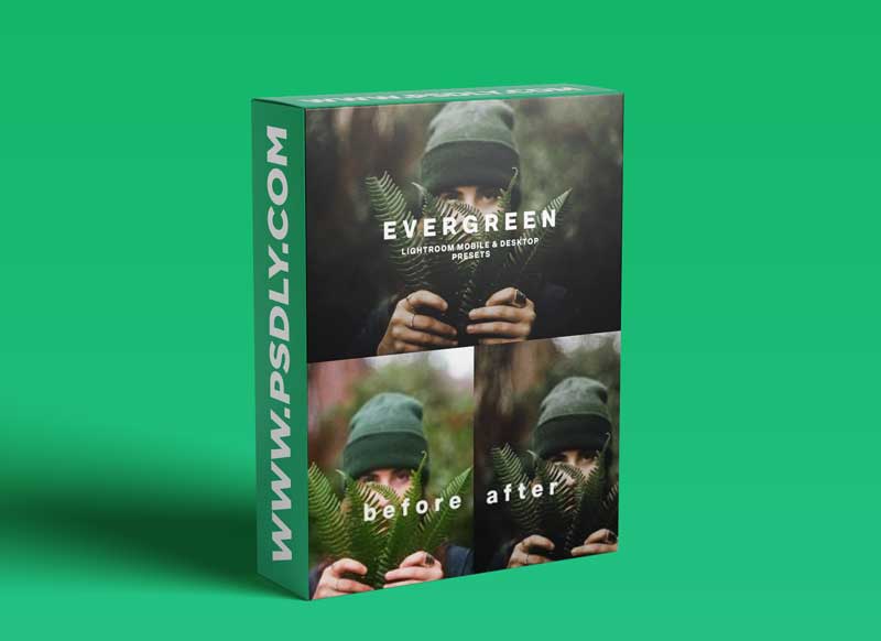 CreativeMarket - EVERGREEN LIGHTROOM PRESETS 5756318 1 CreativeMarket - EVERGREEN LIGHTROOM PRESETS 5756318