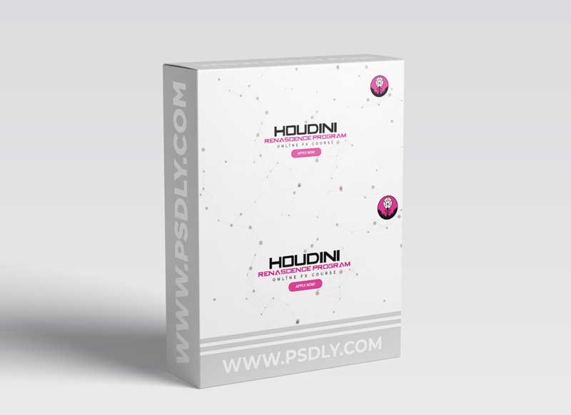 Houdi Renascence Program Vol 1 - THE VFX SCHOOL 1 HOUDINI RENASCENCE PROGRAM VOL 1 - THE VFX SCHOOL