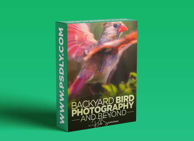 KelbyOne - Backyard Bird Photography and Beyond 1 KelbyOne - Backyard Bird Photography and Beyond
