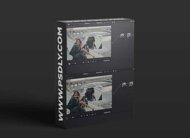 Paint Fixing in DaVinci Resolve 1 Paint Fixing in DaVinci Resolve