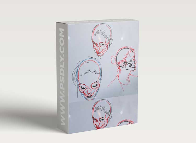 Female Skull and Portrait Drawing 1 Female Skull and Portrait Drawing