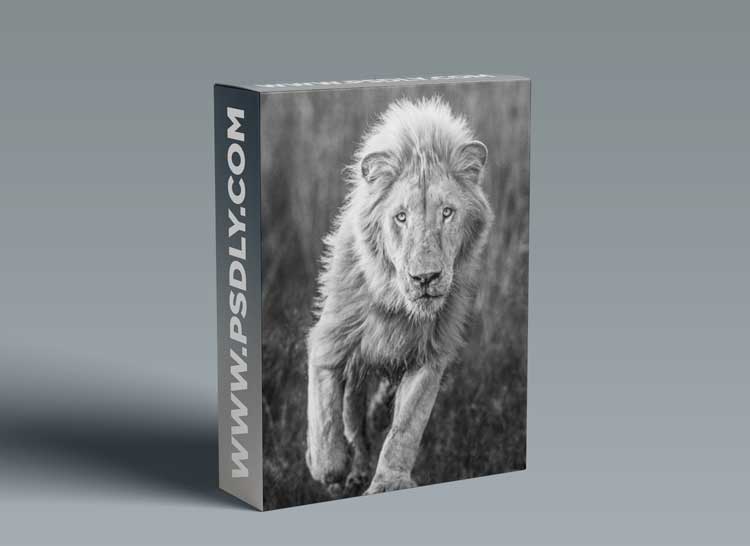 Masters of Photography - David Yarrow 1 Masters of Photography - David Yarrow