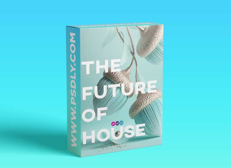 Soundsmiths The Future of House 1 Soundsmiths The Future of House