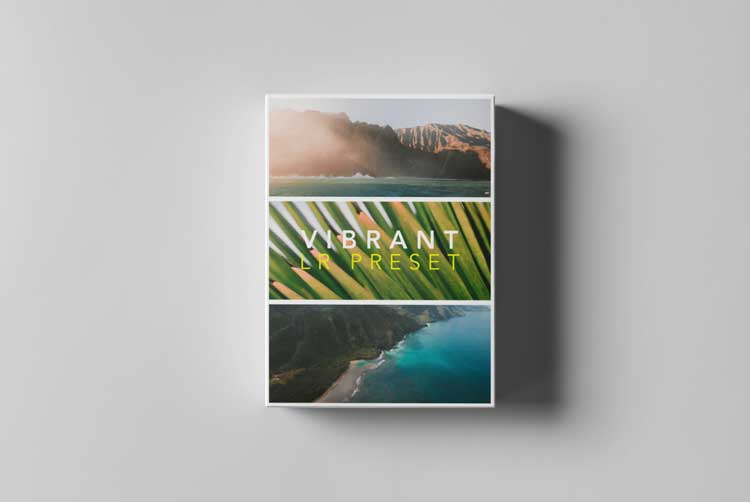 Tropic Color - LR PRESETS - VIBRANT 1 Tropic Color - LR PRESETS - VIBRANT