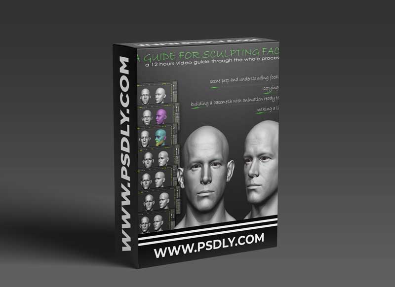 Gumroad – A Guide to Sculpting Faces 1 Gumroad – A Guide to Sculpting Faces