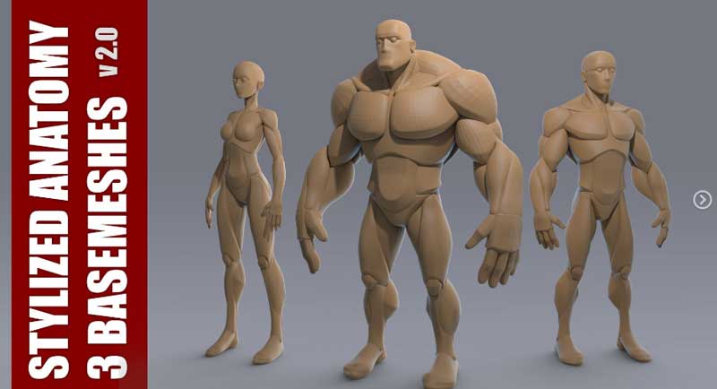 ArtStation - Stylized Anatomy BASEMESHES3