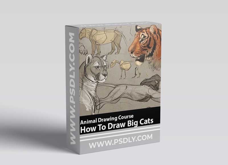 CreatureArtTeacher - Aaron Blaise - How to Draw Animals Course – Big Cats 1 CreatureArtTeacher - Aaron Blaise - How to Draw Animals Course – Big Cats
