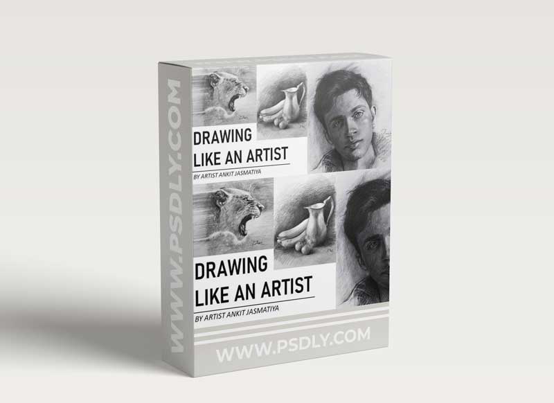 Drawing like an Artist 1 Drawing like an Artist