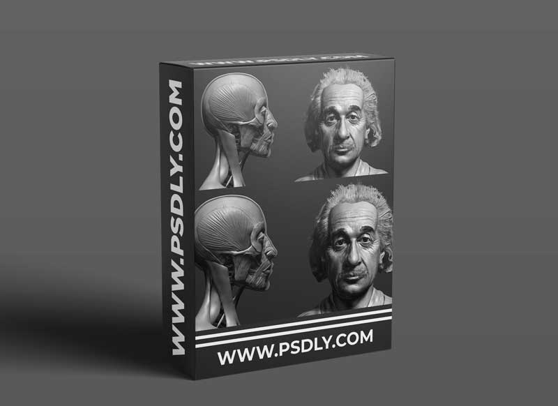 Facial Anatomy and Likeness Tutorial 1 Facial Anatomy and Likeness Tutorial