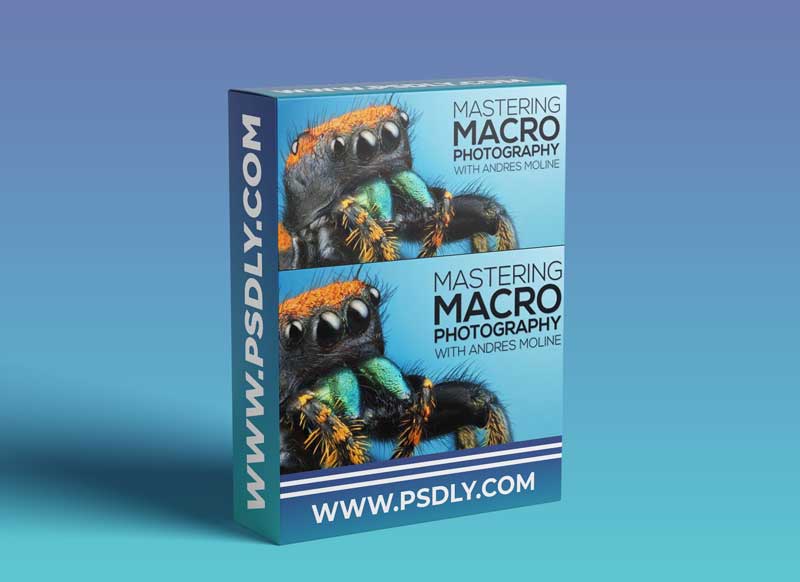 Fstoppers - Mastering Macro Photography - The Complete Shooting and Editing Tutorial - Andres Moline 1 Fstoppers - Mastering Macro Photography - The Complete Shooting and Editing Tutorial - Andres Moline