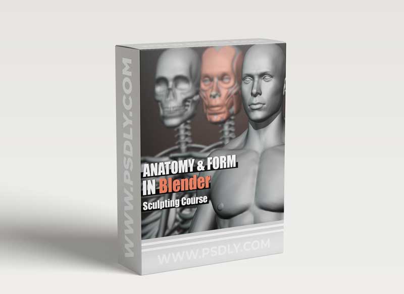 Gumroad – Anatomy and Form in Blender – Sculpting Course 1 Gumroad – Anatomy and Form in Blender – Sculpting Course