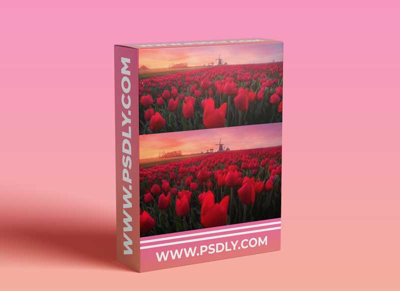 Mango-Ice Photography - Tulips - Post Processing Video 1 Mango-Ice Photography - Tulips - Post Processing Video