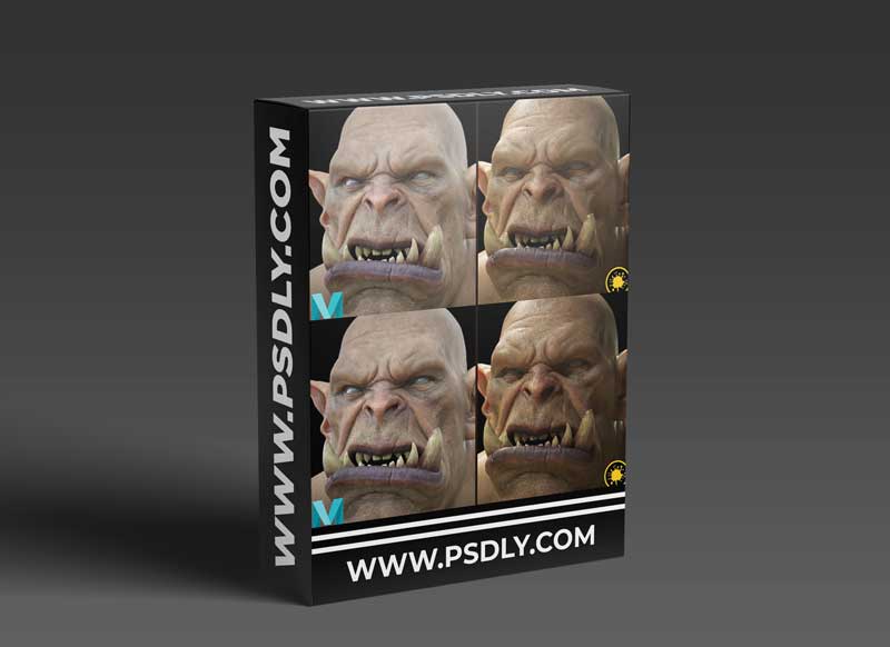 Mari and Maya - Skin Texturing And Shading For VFX 1 Mari and Maya - Skin Texturing And Shading For VFX