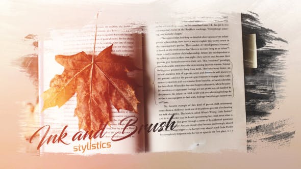Videohive Photo Slideshow Brush & Ink 20756188
