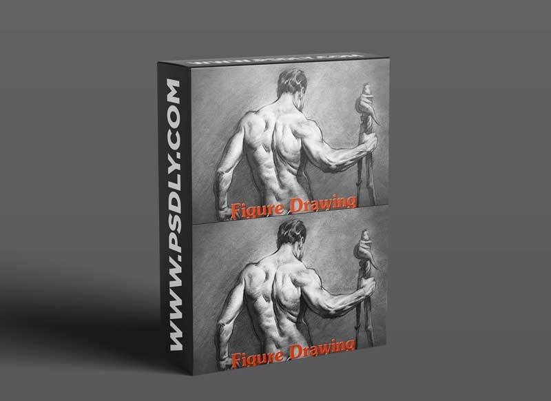 Proko - Figure Drawing Fundamentals 1 Proko - Figure Drawing Fundamentals