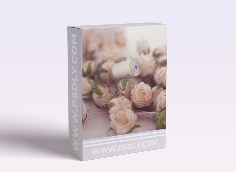 Sue Bryce Photography - Business: Makes Goals For Work, Not Money 1 Sue Bryce Photography - Business: Makes Goals For Work, Not Money