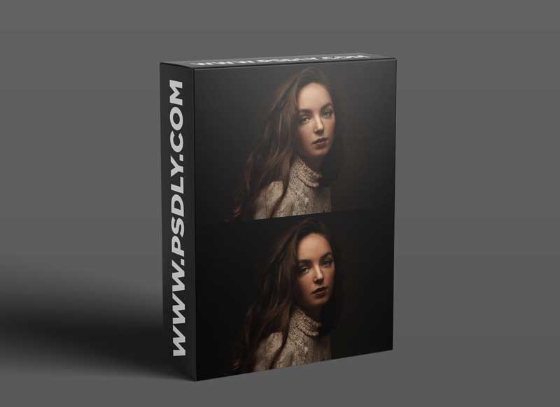 The Portrait Masters - Painterly Portraits: Design Elements 1 The Portrait Masters - Painterly Portraits: Design Elements