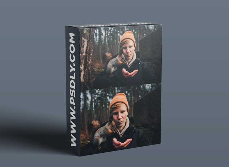 Wildlife Photography: Capturing Portraits of Your Favorite Animals 1 Wildlife Photography: Capturing Portraits of Your Favorite Animals
