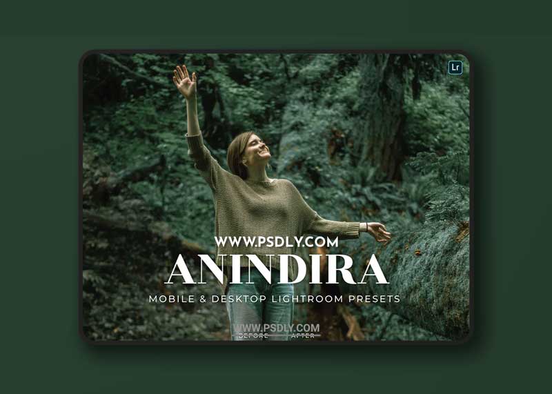 Anindira Mobile and Desktop Lightroom Presets 1 Anindira Mobile and Desktop Lightroom Presets