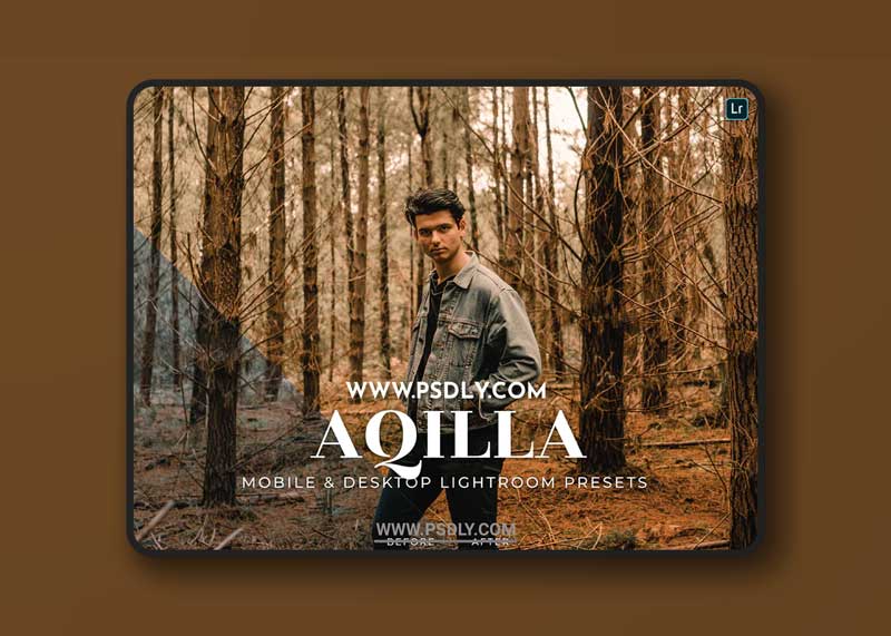 Aqilla Mobile and Desktop Lightroom Presets 1 Aqilla Mobile and Desktop Lightroom Presets