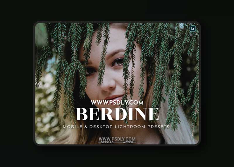 Berdine Mobile and Desktop Lightroom Presets 1 Berdine Mobile and Desktop Lightroom Presets