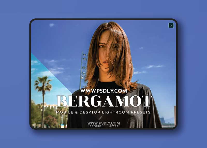Bergamot Mobile and Desktop Lightroom Presets 1 Bergamot Mobile and Desktop Lightroom Presets