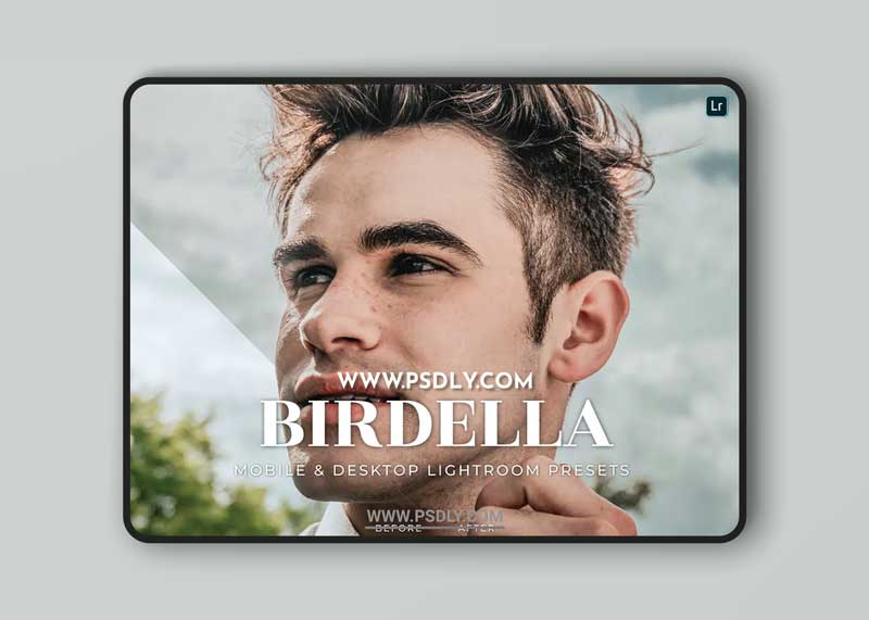 Birdella Mobile and Desktop Lightroom Presets 1 Birdella Mobile and Desktop Lightroom Presets