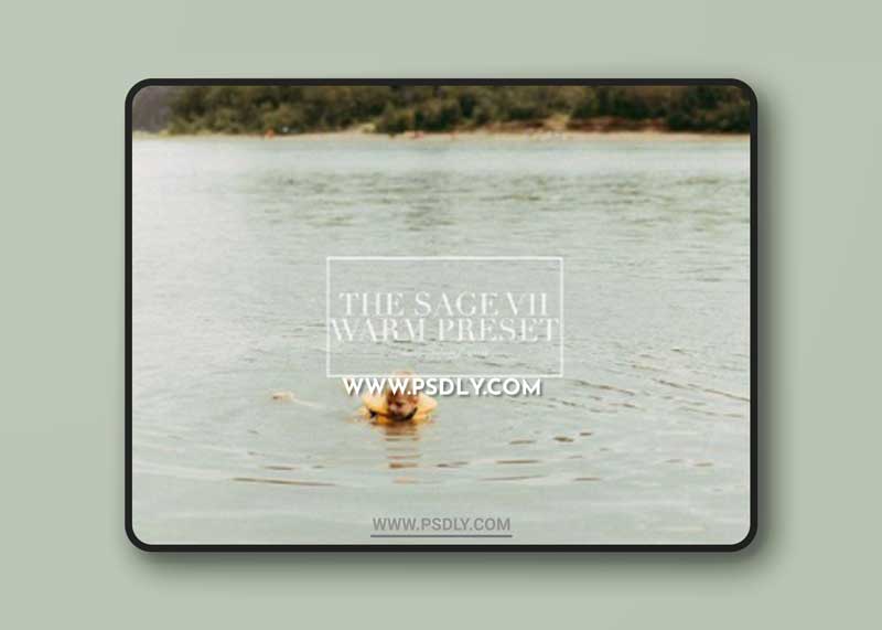CM - Moody Film Lightroom Presets 1686561 1 CM - Moody Film Lightroom Presets 1686561