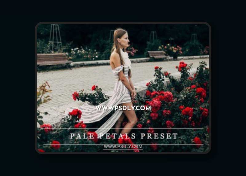 CM - Pale petals - Lightroom preset 1237375 1 vCM - Pale petals - Lightroom preset 1237375