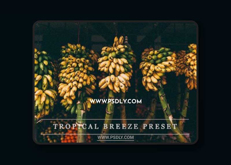 CM - Tropical breeze - Lightroom preset 1237376 1 CM - Tropical breeze - Lightroom preset 1237376
