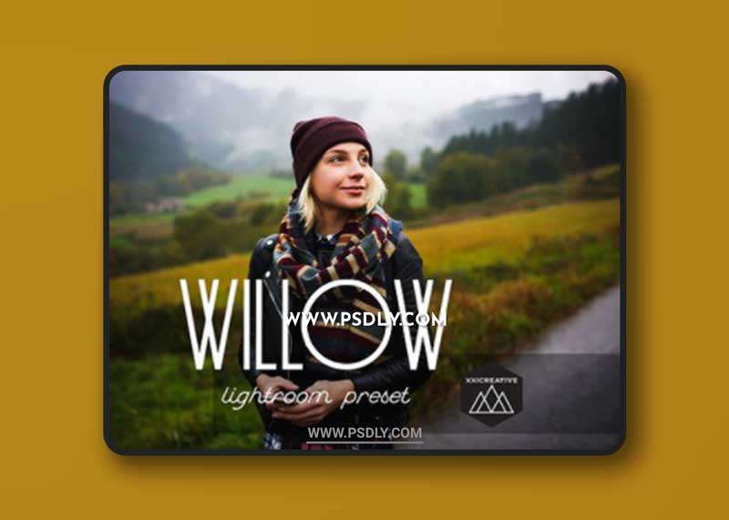 CM - Willow | LR Preset 1167157 1 CM - Willow | LR Preset 1167157
