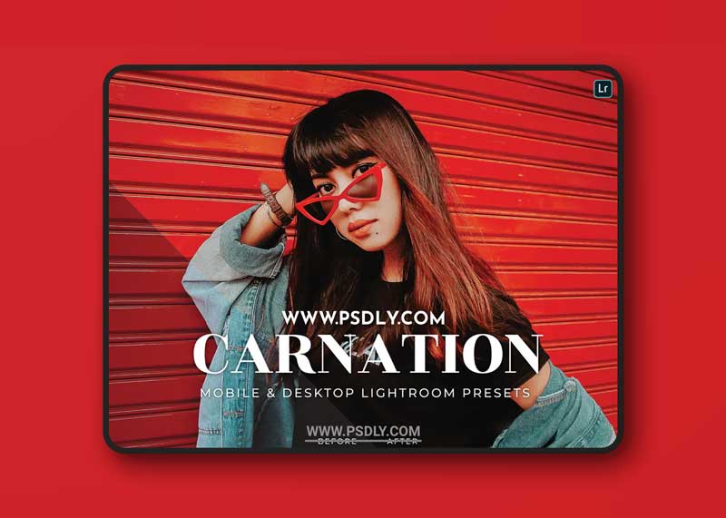 Carnation Mobile and Desktop Lightroom Presets 1 Carnation Mobile and Desktop Lightroom Presets