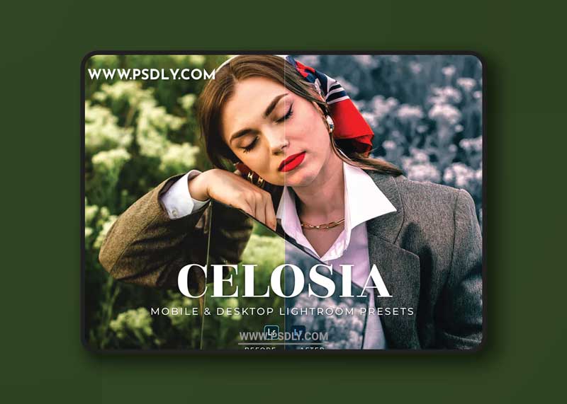 Celosia Mobile and Desktop Lightroom Presets 1 Celosia Mobile and Desktop Lightroom Presets