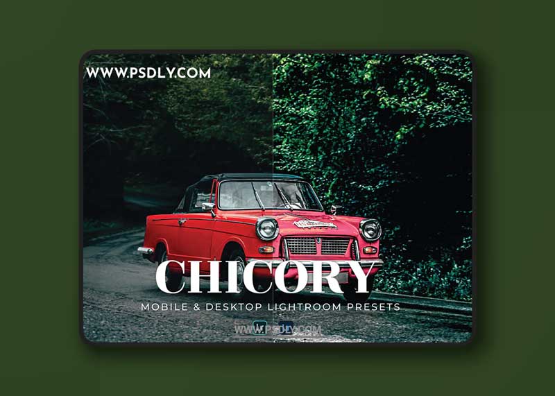 Chicory Mobile and Desktop Lightroom Presets 1 Chicory Mobile and Desktop Lightroom Presets