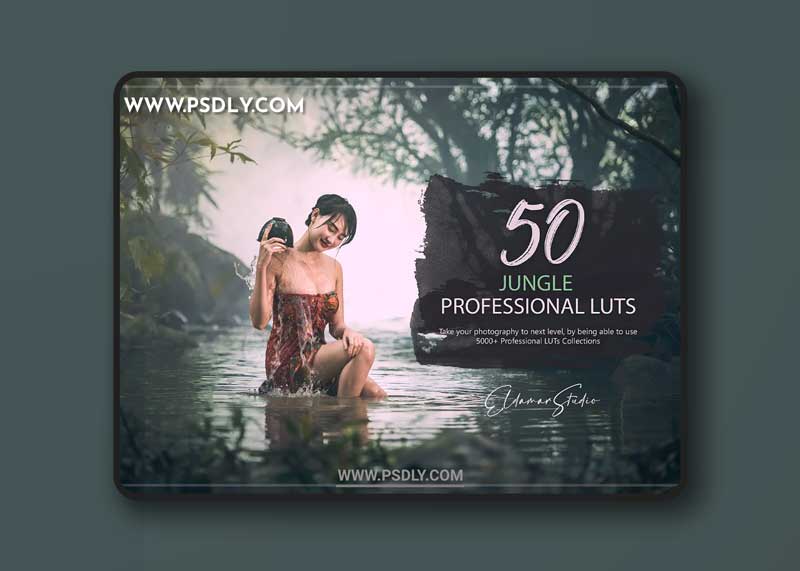 CreativeMarket - 50 Jungle LUTs Pack 6190726 1 CreativeMarket - 50 Jungle LUTs Pack 6190726