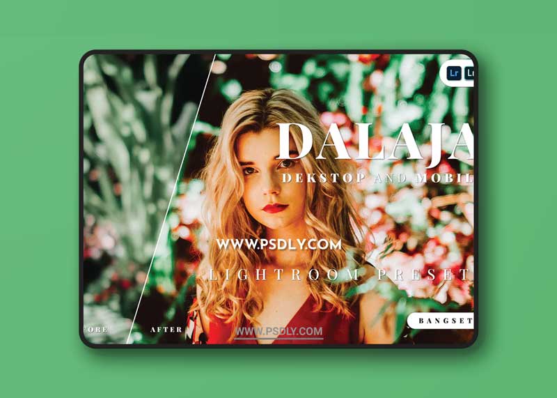 Dalaja Desktop and Mobile Lightroom Preset 1 Dalaja Desktop and Mobile Lightroom Preset