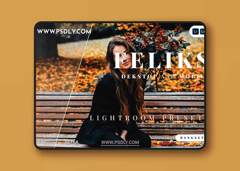 Feliks Desktop and Mobile Lightroom Preset 1 Feliks Desktop and Mobile Lightroom Preset