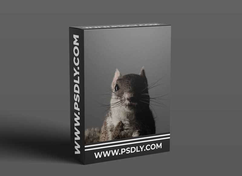 Gumroad - Create Fur with Cinema 4D (Beginner) 1 Gumroad - Create Fur with Cinema 4D (Beginner)
