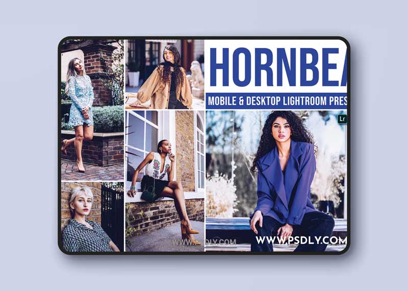Hornbea Mobile and Desktop Lightroom Presets 1 Hornbea Mobile and Desktop Lightroom Presets
