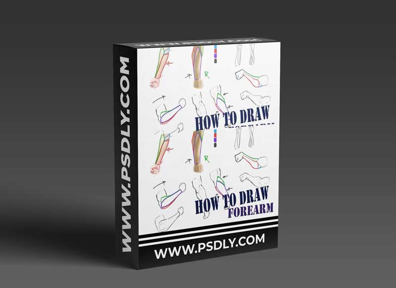 How to Draw - Forearms 1 How to Draw - Forearms