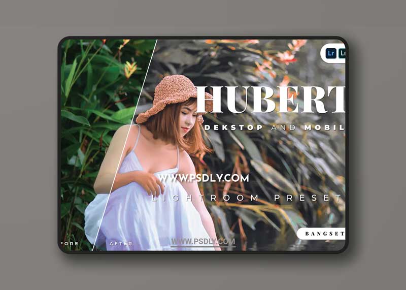 Hubert Desktop and Mobile Lightroom Preset 1 Hubert Desktop and Mobile Lightroom Preset