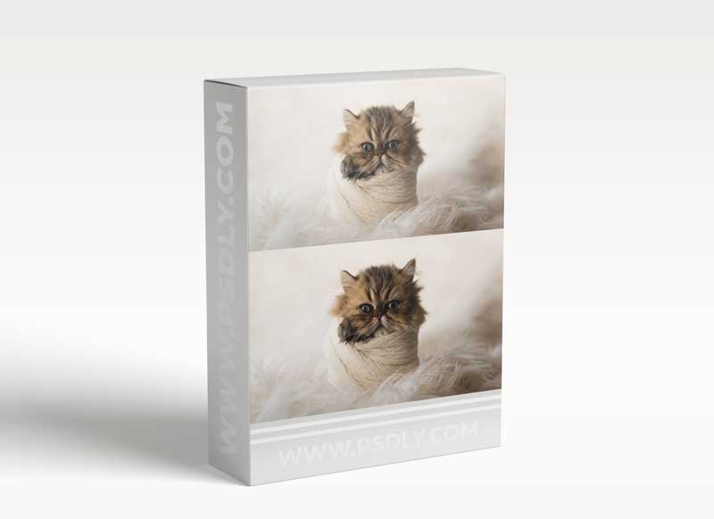 Meg Bitton - Baby Thor 1 Meg Bitton - Baby Thor