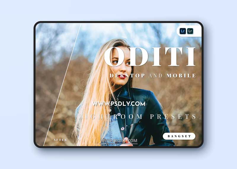 Oditi Desktop and Mobile Lightroom Preset 1 Oditi Desktop and Mobile Lightroom Preset