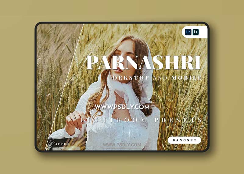 Parnashri Desktop and Mobile Lightroom Preset 1 Parnashri Desktop and Mobile Lightroom Preset